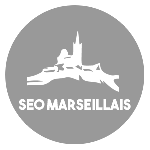 consultant seo