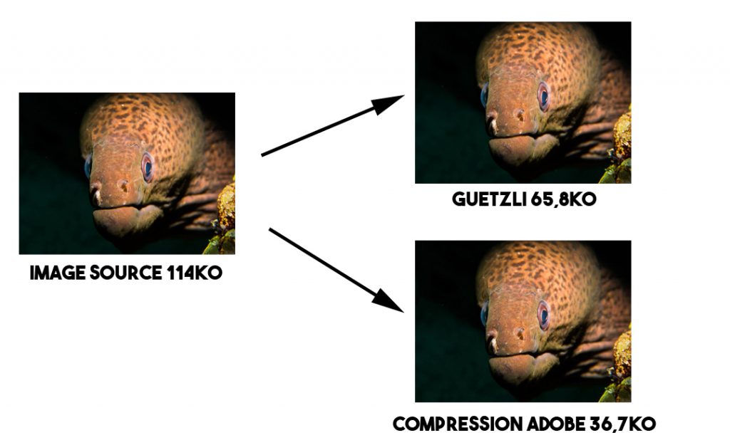 guetzli algo test